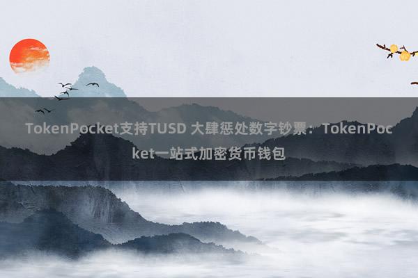 TokenPocket支持TUSD 大肆惩处数字钞票：TokenPocket一站式加密货币钱包